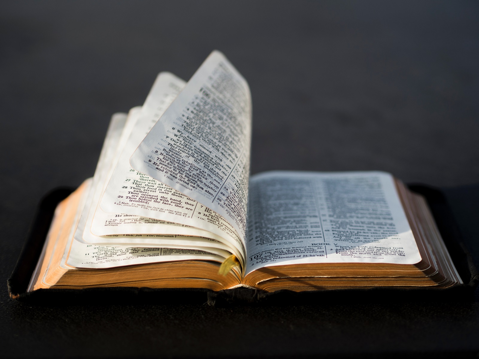 bible1-1600